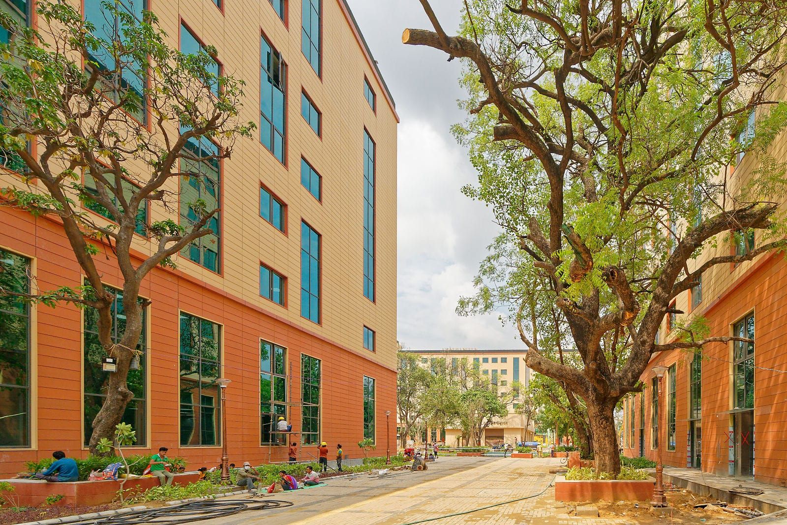 projects-clayton-terracotta